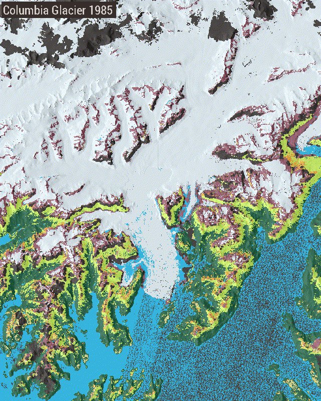 Example area showing LCMS land cover changing over the Columbia Glacier